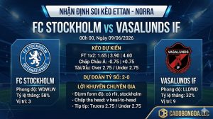 Nhận định soi kèo Stockholm Internazionale vs Vasalund 00h 00 ngày 09/06/2026 – Ettan - Norra